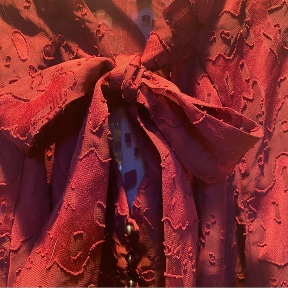 Nicola by EK Burgandy Sheer Chiffon Blouse with Bow at Neckline Size L - Picture 1 of 10